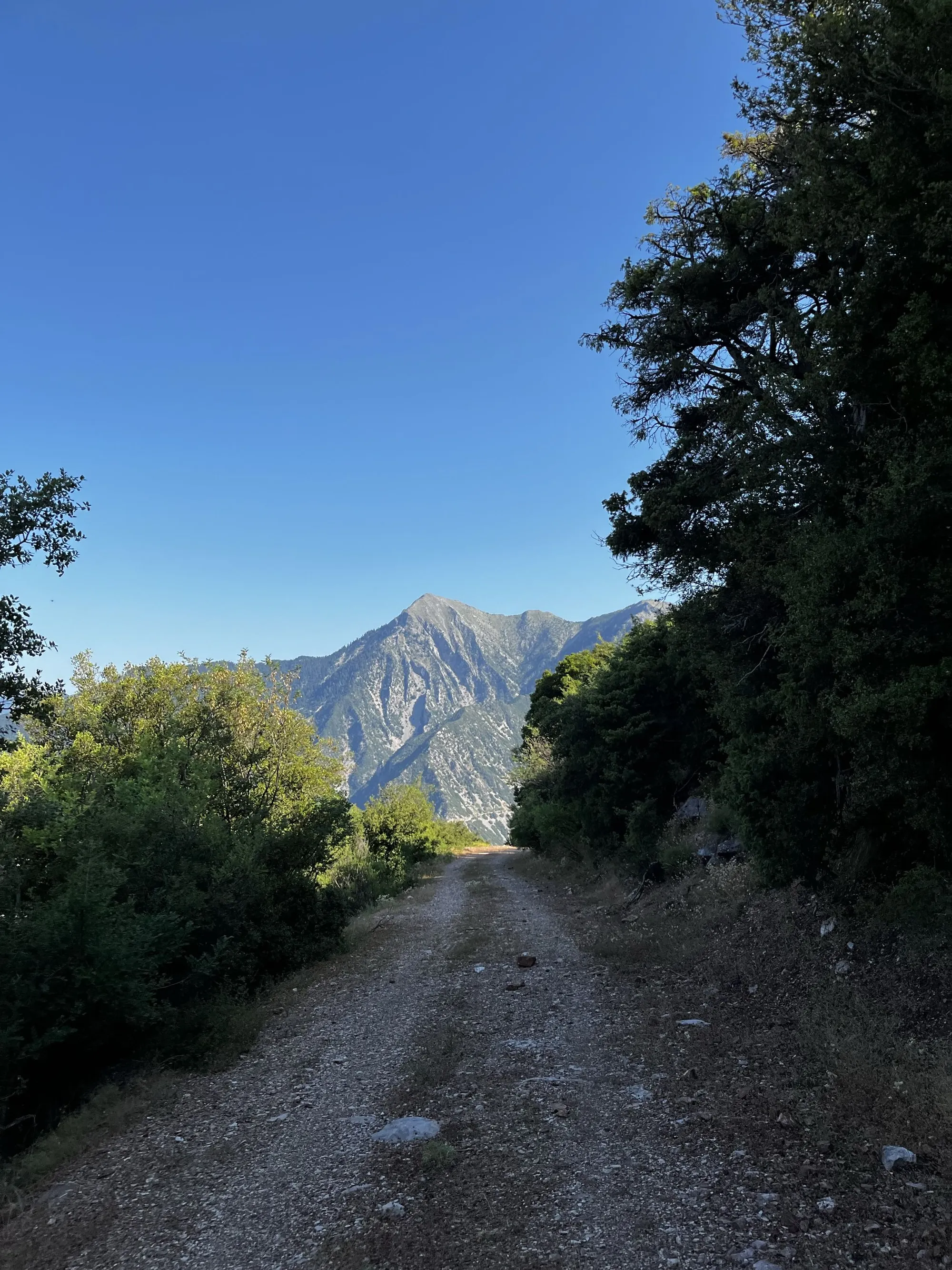 O Άνινος