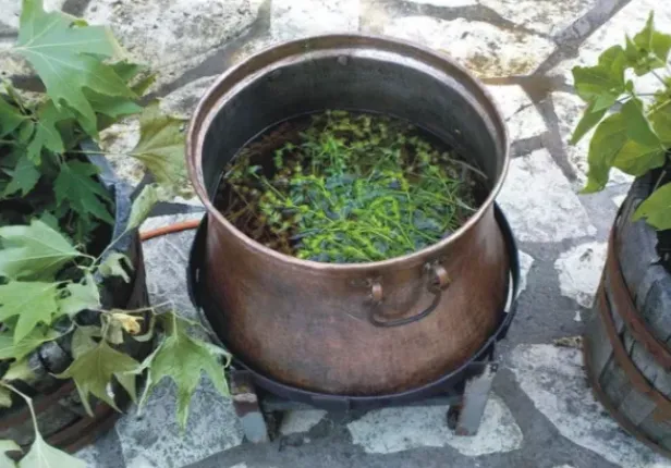 Γιορτή Τσαγιού